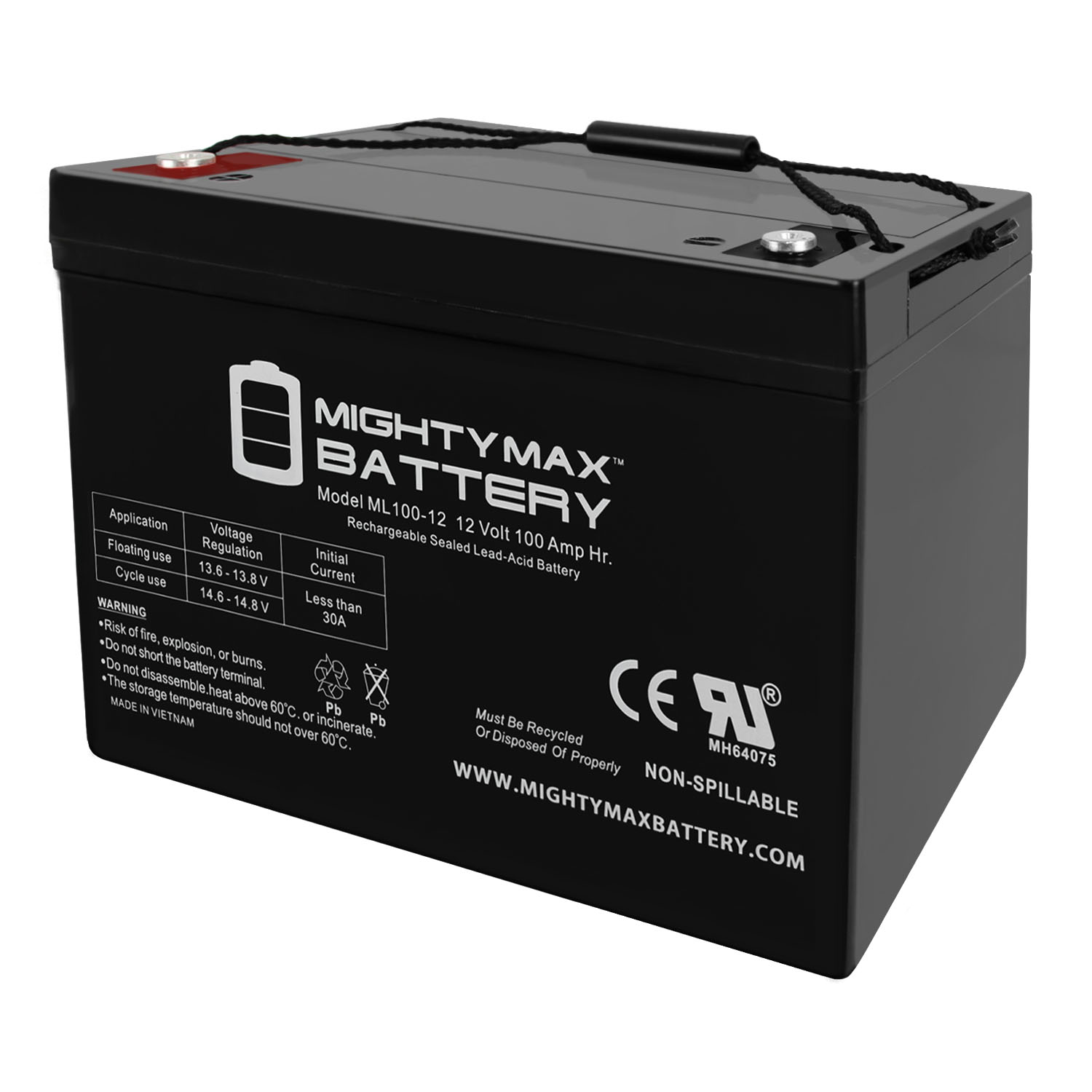 Mighty Max Battery ML100-133155 12V 100Ah SLA Replacement Battery For ...