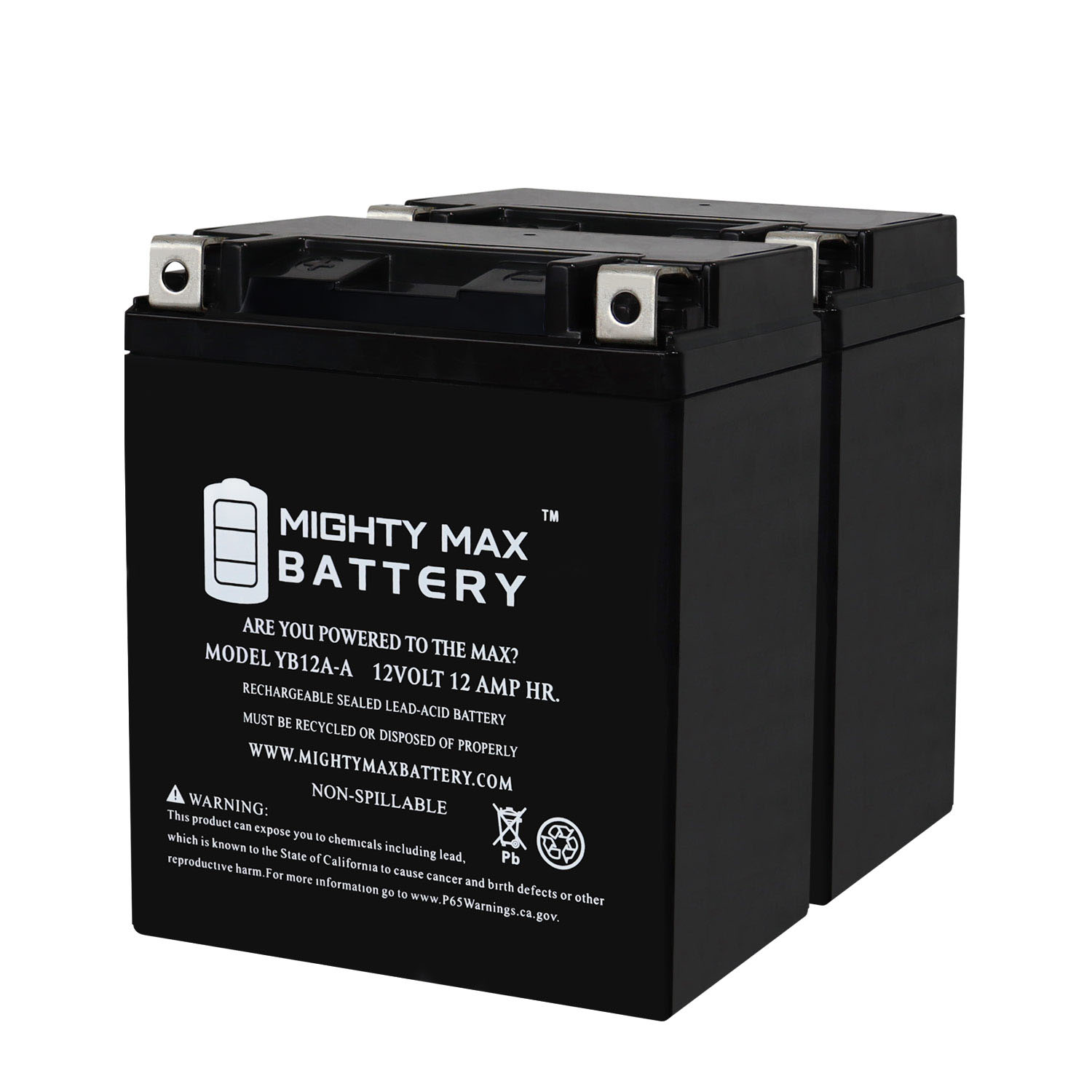 YB12A-A 12V 12AH Replacement Battery compatible with Yamaha XS 250 SE (Sega) - 2 Pack