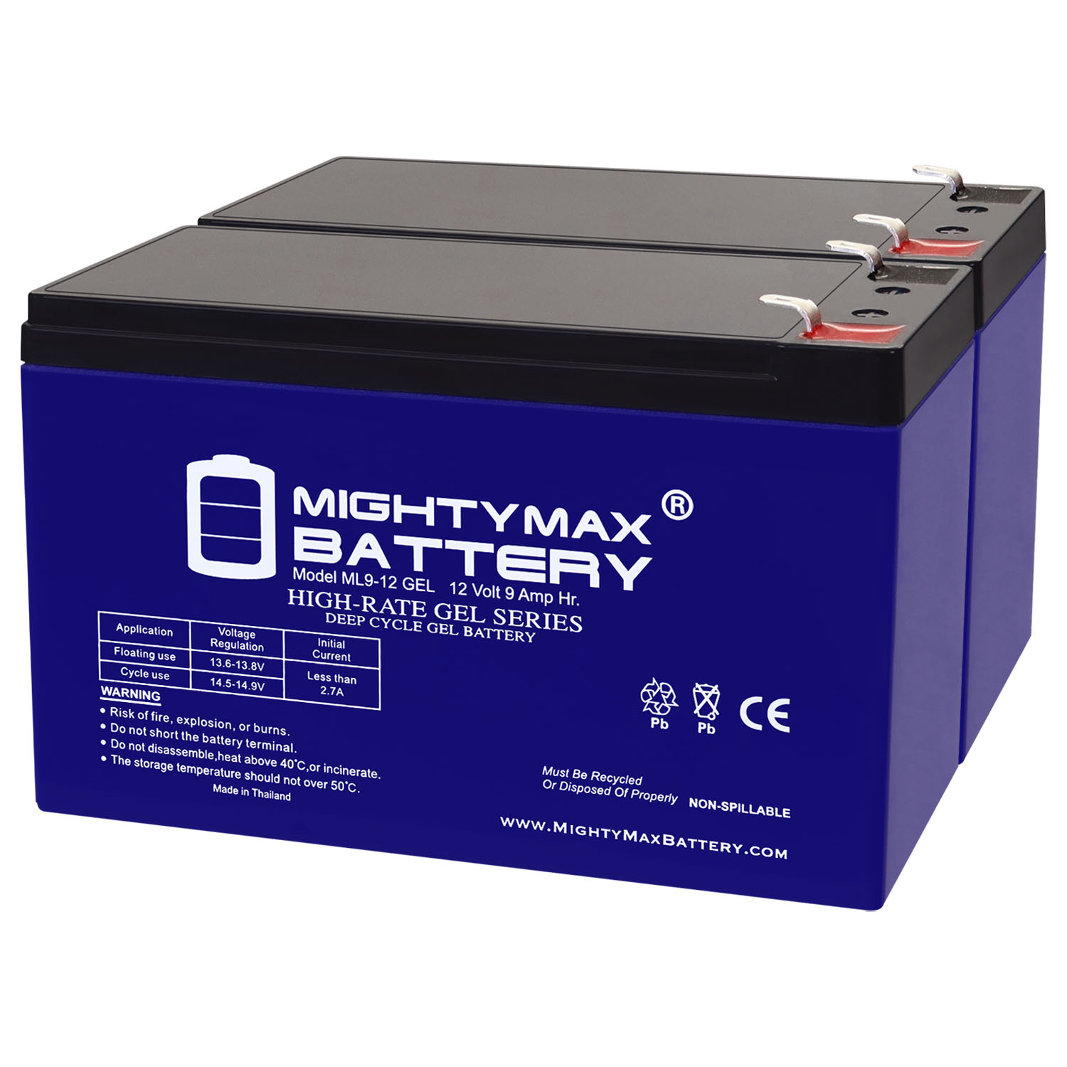 12V 9AH GEL F2 Replacement Battery Compatible with Yuasa Rew45-12 - 2 Pack